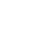 公安黑夜行動
